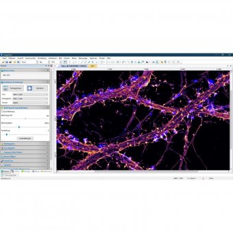 usb microscope software windows 10 64bit usb microscope software windows 10 64bit