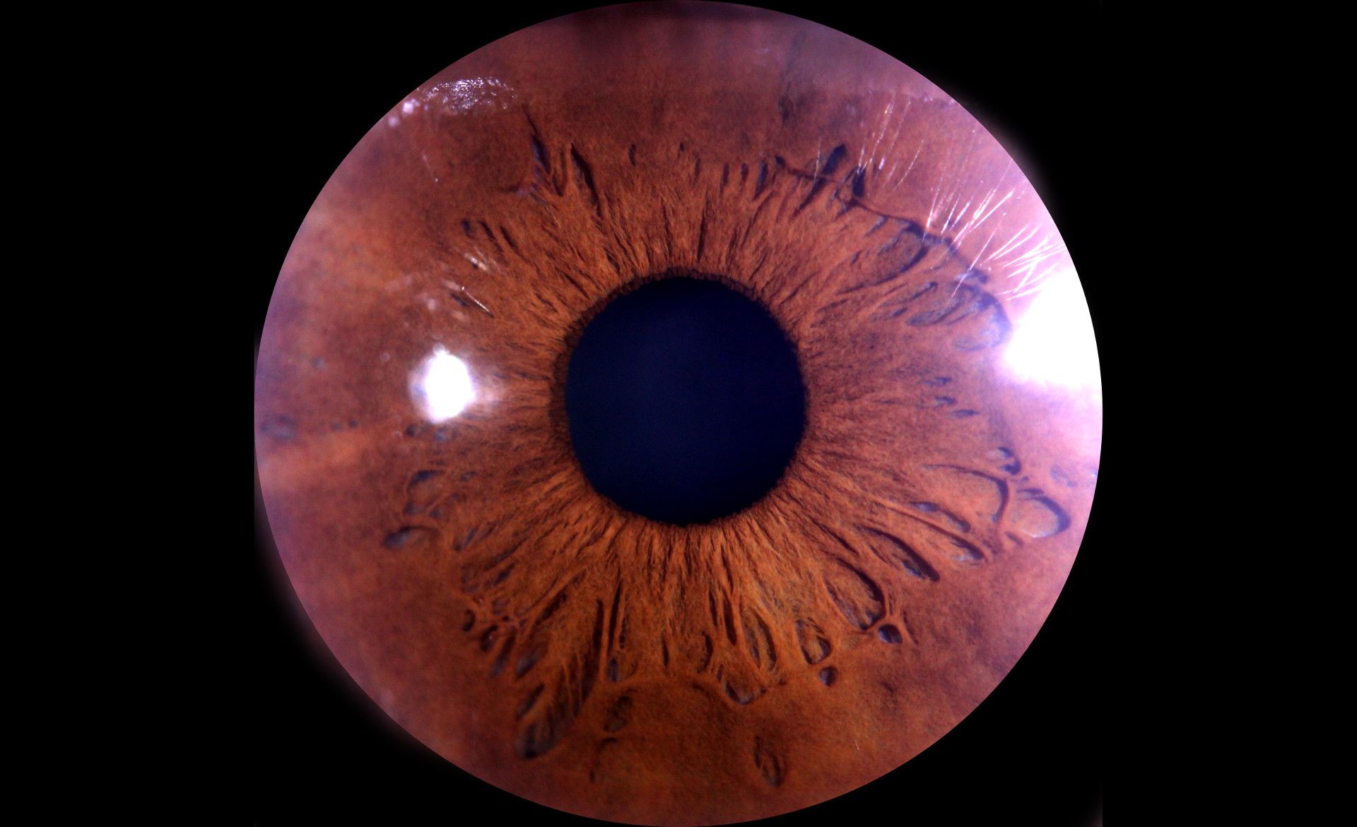 iris explorer s1 sarras e u